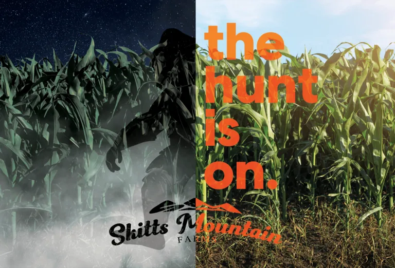 A sasquatch silhouette crossing from a moonlit corn maze into daylight rows